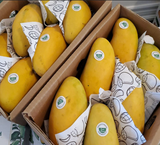 EXOTIC FRUITCO - PAKISTANI MANGOES - SINDHRI