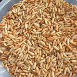 SIZZLY PREMIUM PINE SEEDS