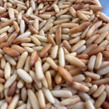 SIZZLY PREMIUM PINE SEEDS
