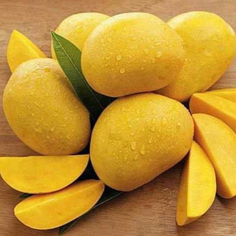 EXOTIC PAKISTANI MANGO - ANWAR RATOLE - PantryMart