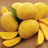 EXOTIC PAKISTANI MANGO - ANWAR RATOLE - PantryMart
