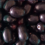 EXOTIC PAKISTANI JAMUN - PantryMart