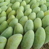 EXOTIC PAKISTANI MANGO - CHONSA - PantryMart