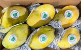 EXOTIC FRUITCO HONEY MANGOES- CHONSA